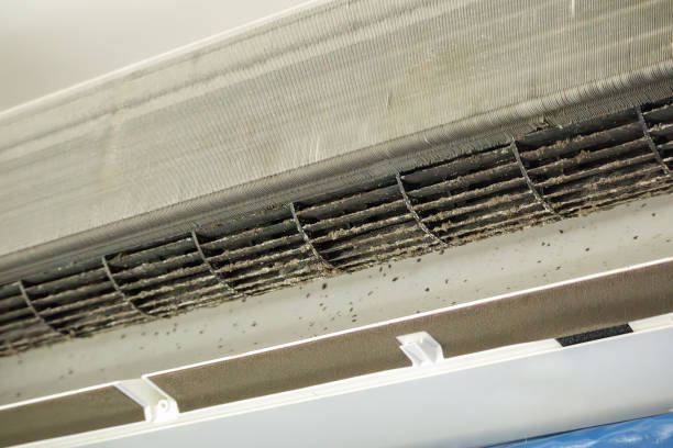 Best Air Quality Test  in Hartsville, TN